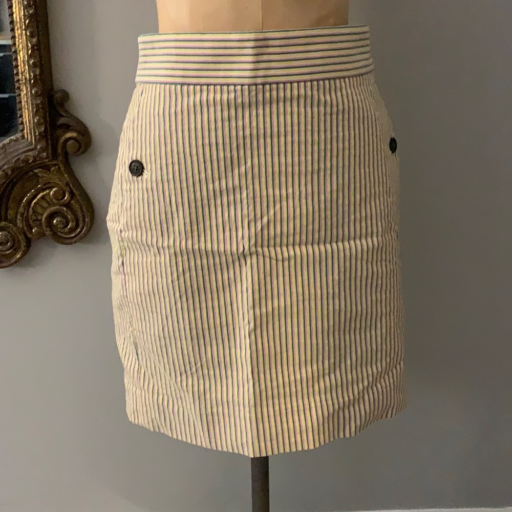 J Crew Striped Skirt NWT